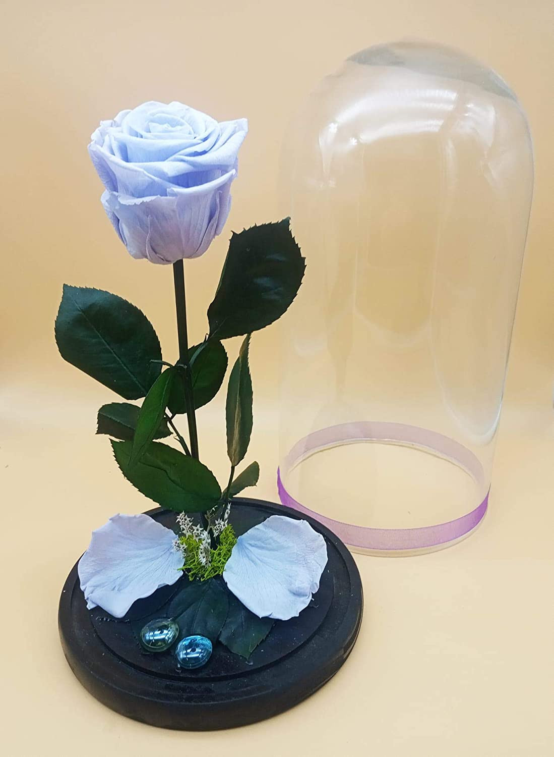 Rosa eterna Morada Lavanda. Cúpula Cristal. Rosa preservada Morada Lavanda.  Altura Total 25 cm. Rosa Morada eterna. Hecho en España.
