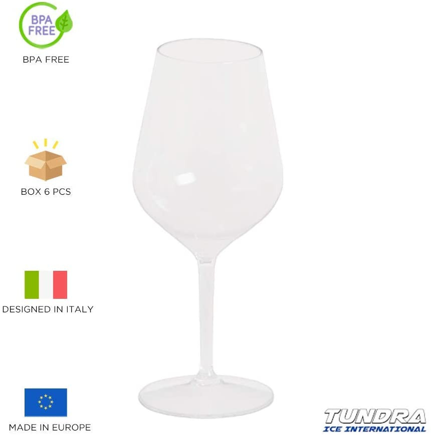 MICHLEY Copas de Champán Irrompible 100% Tritan-plástico Copas de Vino Libres de BPA,Interior/Al Aire Libre Copas de Vino de plástico 20 Cl Conjunto de 2 