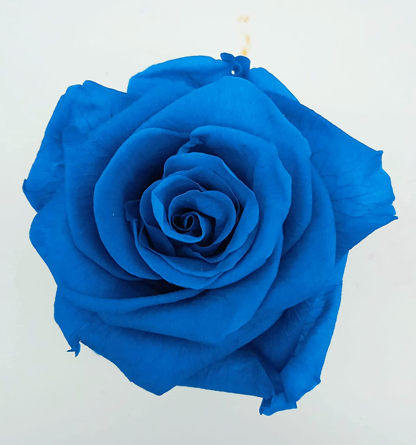 Rosa eterna Azul Turquesa. Cubo Cristal. Rosa preservada Azul Turquesa.  Rosa Azul eterna Fabricado en España.